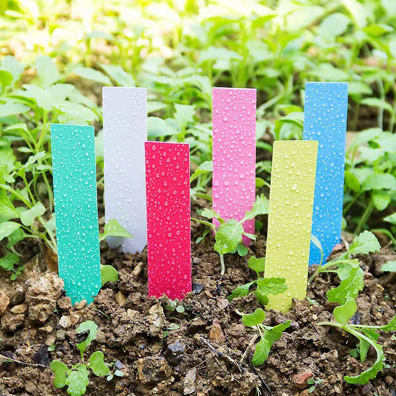 100Pcs Garden Plant Labels Pla - огляд і ціна Embroidery Garden